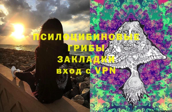 ПСИЛОЦИБИНОВЫЕ ГРИБЫ Аркадак