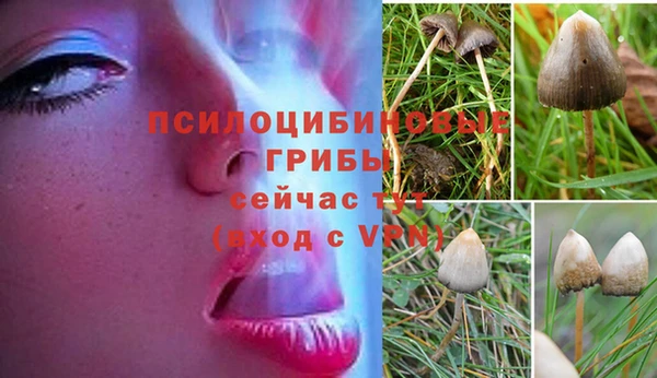 спайс Покров