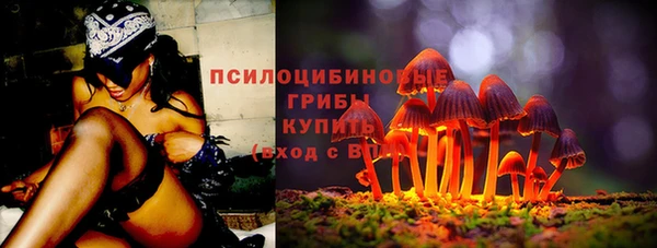 эйфоретик Алзамай