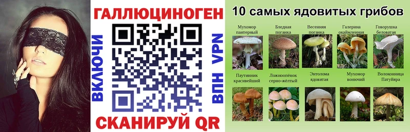 Псилоцибиновые грибы MAGIC MUSHROOMS  где купить наркоту  Кологрив 
